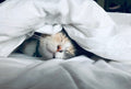 Deep restful sleep