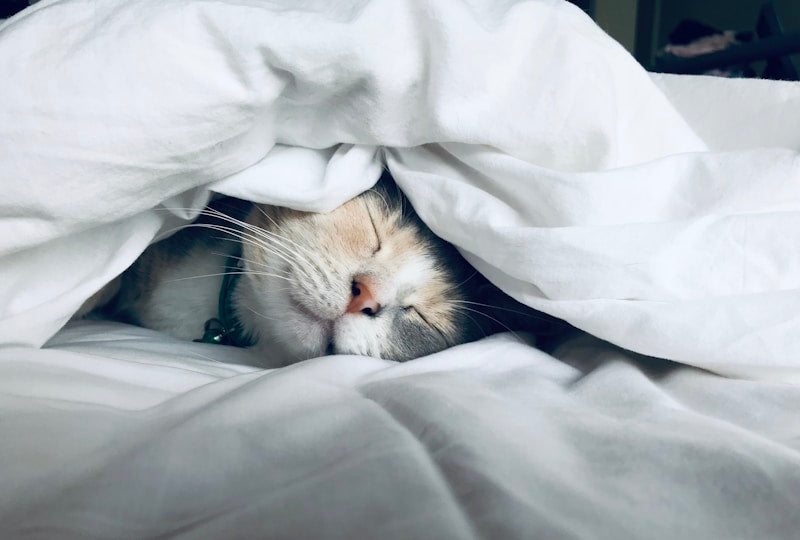 Deep restful sleep