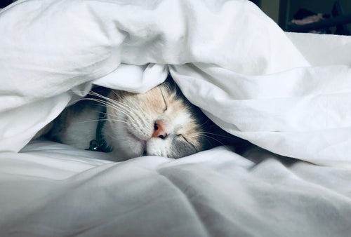 Deep restful sleep